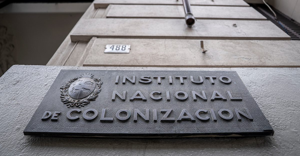 Productores colonos reclaman revisar aumento del valor de las rentas a la capacidad productiva del Instituto Nacional de Colonización 