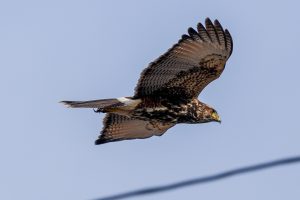 Pronóstico del tiempo de José María Rodríguez