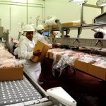 Unos 600 trabajadores del frigorífico Carrasco quedan sin seguro de paro desde mañana, tras confirmarse que la planta no retomará actividades hasta el año que viene