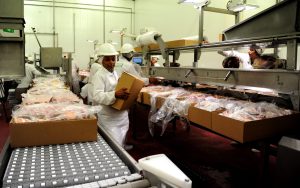 600 trabajadores del Frigorífico Carrasco quedan sin seguro de paro