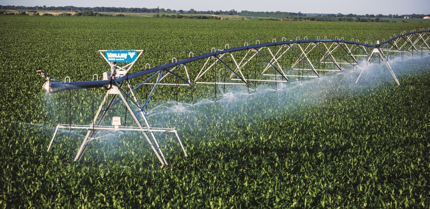 Billy Battro: la soja cerró en equilibrio y el maíz impulsó una campaña agrícola positiva en El Cabelludo