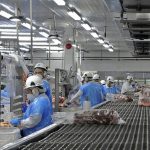 Ajusta a la baja precio de exportación de la carne