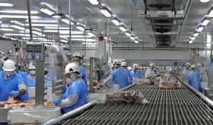 Ajusta a la baja precio de exportación de la carne