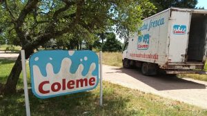 Coleme cierra este viernes en Melo con una deuda de más de 22 millones de dólares a productores