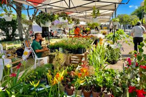 La fascinación que producen las plantas