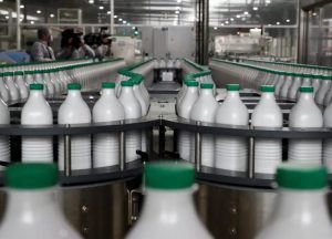 Baja el precio internacional de los lácteos
