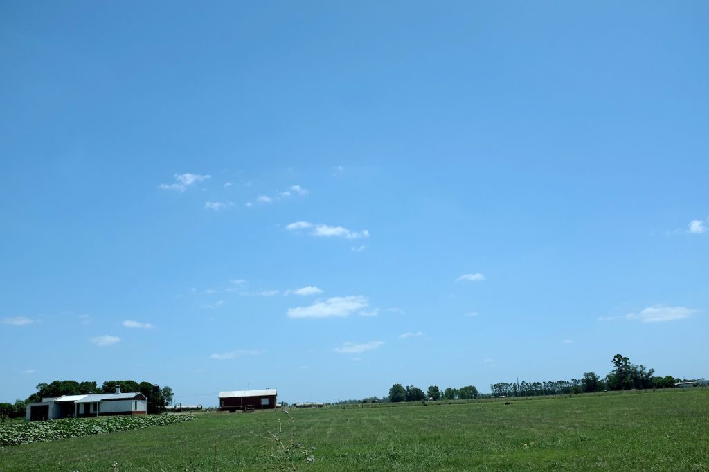 El Frente Amplio reabre el debate sobre la compra de tierras por extranjeros 