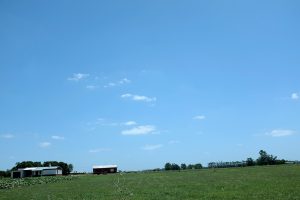 El Frente Amplio reabre el debate sobre la compra de tierras por extranjeros 
