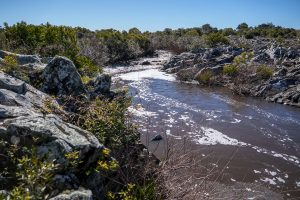 Asociación Rural de Florida cuestiona la represa de Casupá y reclama evaluar alternativas