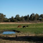 Pronóstico del tiempo de José María Rodríguez