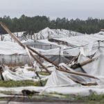 Fogón económico: Salto reabre el debate sobre los seguros agrícolas, solo tres de cada diez productores estaban asegurados