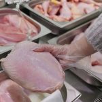 Fogón avícola: plan para duplicar la producción de pollo y abrir mercados de exportación