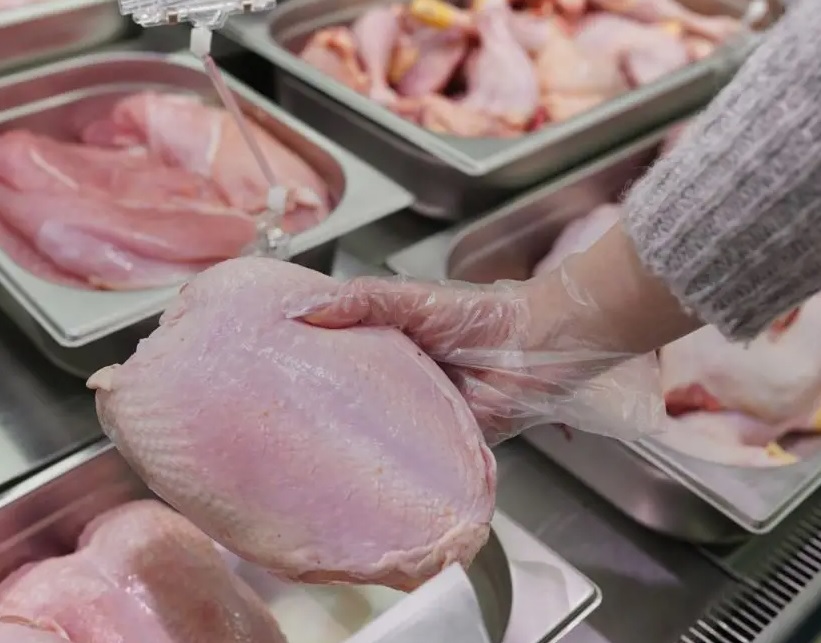 Fogón avícola: plan para duplicar la producción de pollo y abrir mercados de exportación
