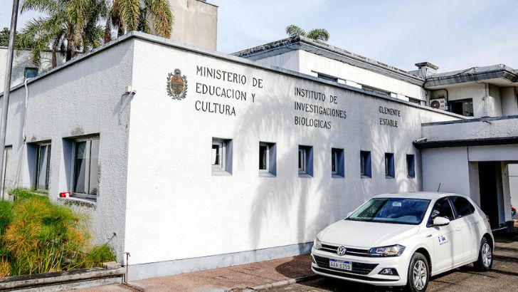 Científicos alertan que la Rendición de Cuentas “desmantela” capacidades del Instituto Clemente Estable