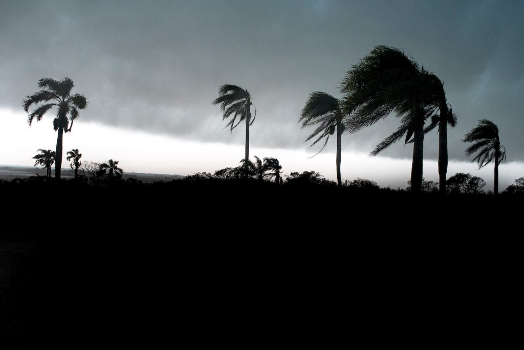 Fogón climático: El Niño podría ser uno de los más intensos desde 1950