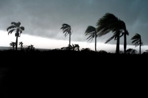 Fogón climático: El Niño podría ser uno de los más intensos desde 1950