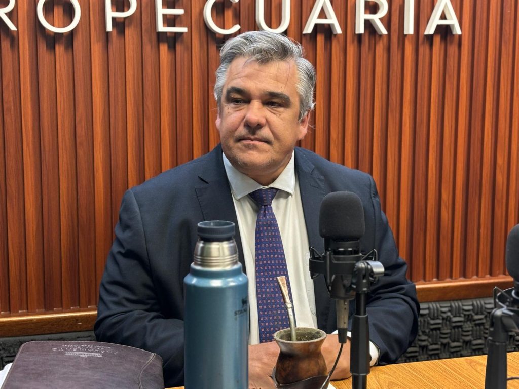 Camy: la delincuencia se alimenta del mercado ilegal de armas, no del legal