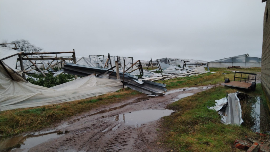 Lo que dejó el temporal en Salto: entre el impacto emocional y las pérdidas sin seguro