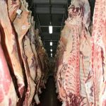 Segundo semestre auspicioso para el negocio ganadero