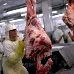Uruguay buscará ganar espacio en China en el segundo semestre sin esperar grandes cambios de precios