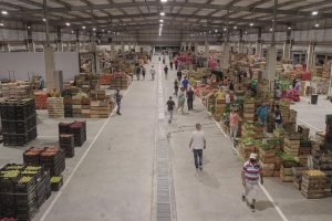 Feriantes advierten que nuevo horario de la UAM va a encarecer los precios y complicará el abastecimiento