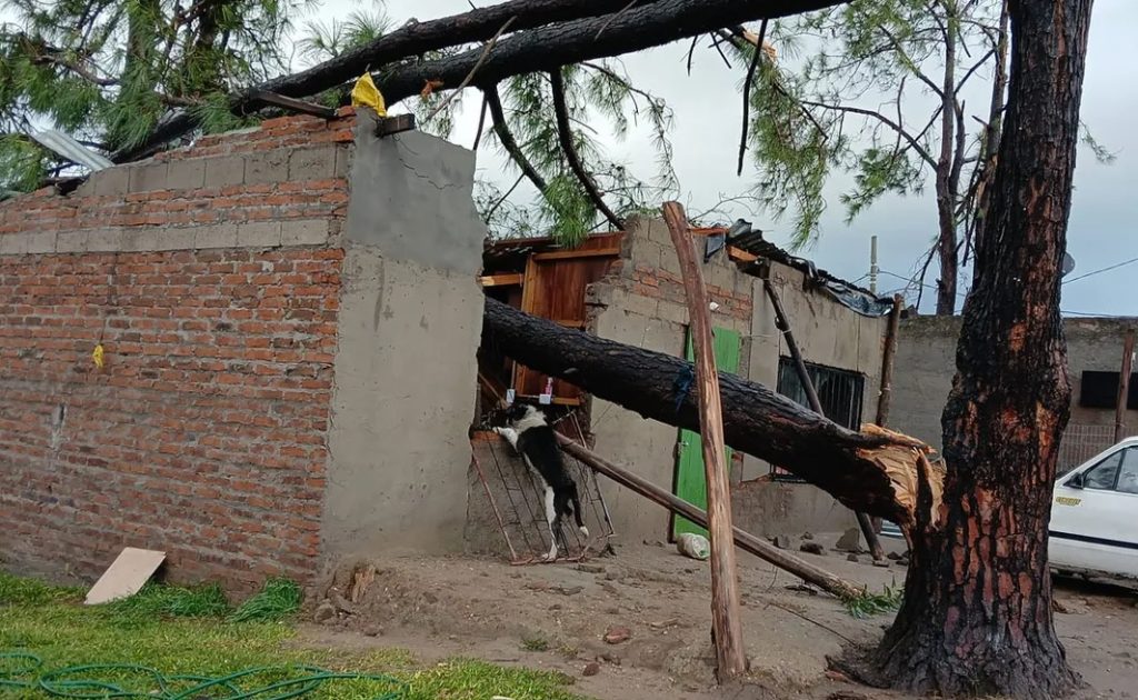 Salto inicia etapa de reconstrucción tras el temporal: unas 250 viviendas dañadas y miles de clientes sin luz