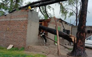 Salto inicia etapa de reconstrucción tras el temporal: unas 250 viviendas dañadas y miles de clientes sin luz