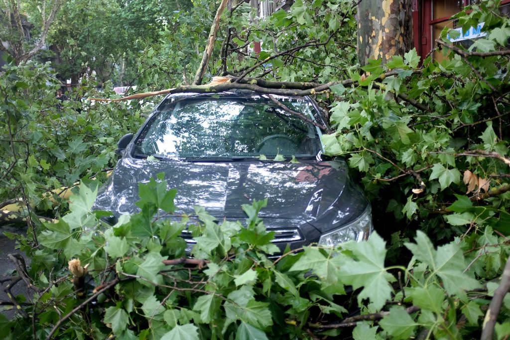 Fogón climático: Temporal dejó daños en el este, pero la alerta temprana ayudó a mitigar las consecuencias