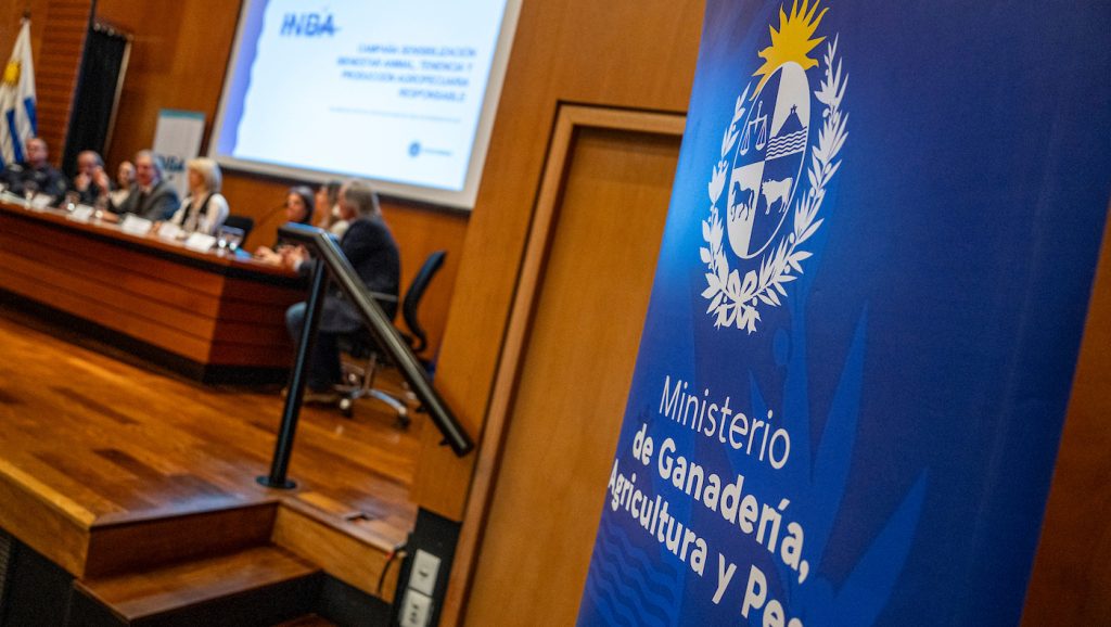 La falta de acuerdo político en la Rendición de Cuentas frustró los planes para el INBA