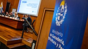 La falta de acuerdo político en la Rendición de Cuentas frustró los planes para el INBA