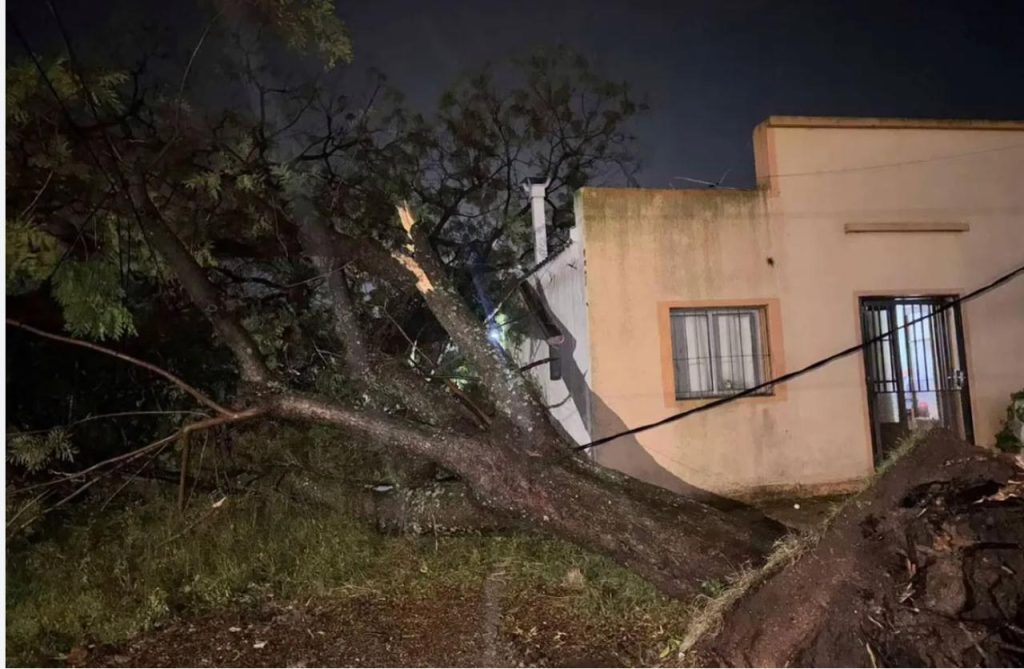 Nuevo temporal azotó Salto con ráfagas de más de 100 km/h y el Cecoed monitorea la crecida del río Uruguay ante posibles evacuaciones