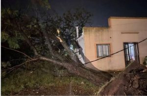 Nuevo temporal azotó Salto con ráfagas de más de 100 km/h y el Cecoed monitorea la crecida del río Uruguay ante posibles evacuaciones