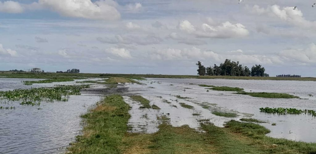 Terraplén que podría evitar grandes inundaciones en Rocha espera hace dos años la aprobación del Ministerio de Ambiente