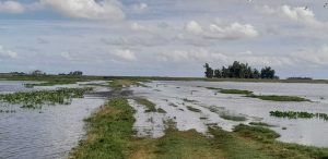 Un terraplén de menos de un millón de dólares podría evitar grandes inundaciones en Rocha, pero espera hace dos años la aprobación del Ministerio de Ambiente