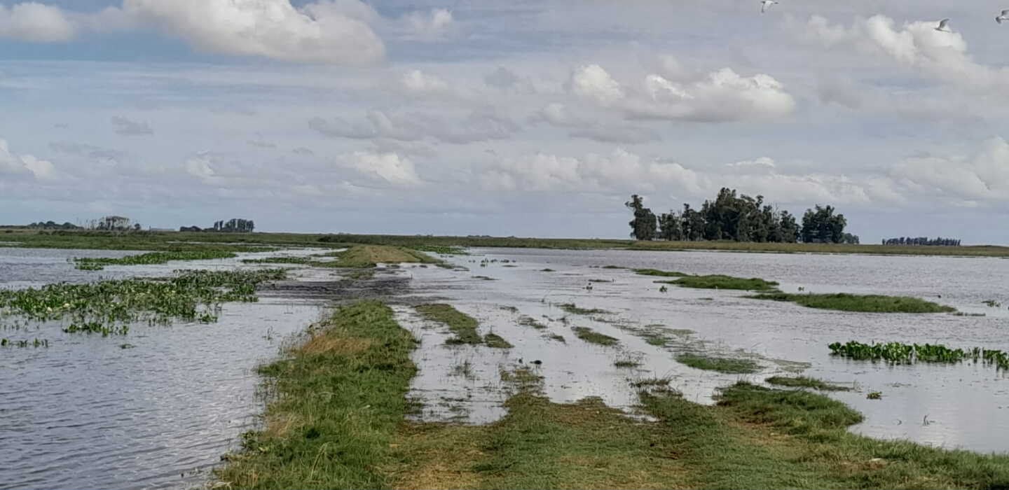 Terraplén que podría evitar grandes inundaciones en Rocha espera hace dos años la aprobación del Ministerio de Ambiente