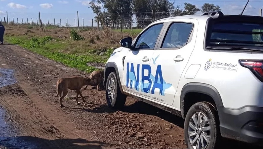 Fogón animal: el futuro del INBA divide a oficialismo y oposición