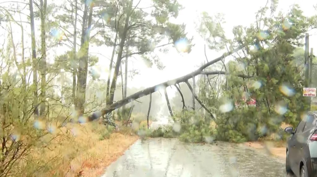 Canelones: dos familias evacuadas, árboles caídos y daños puntuales tras el temporal