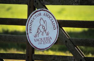 El nuevo presidente de Vaquería del Este ve fundamentos estructurales detrás de los altos precios de la carne
