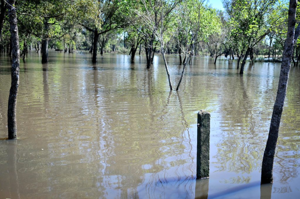 FlooDur: una plataforma creada en Durazno para monitorear el río y anticipar posibles crecidas