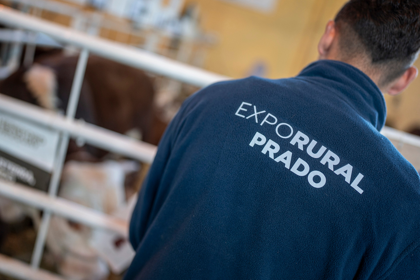 Sigue la Expo Prado en buen momento de la ganadería