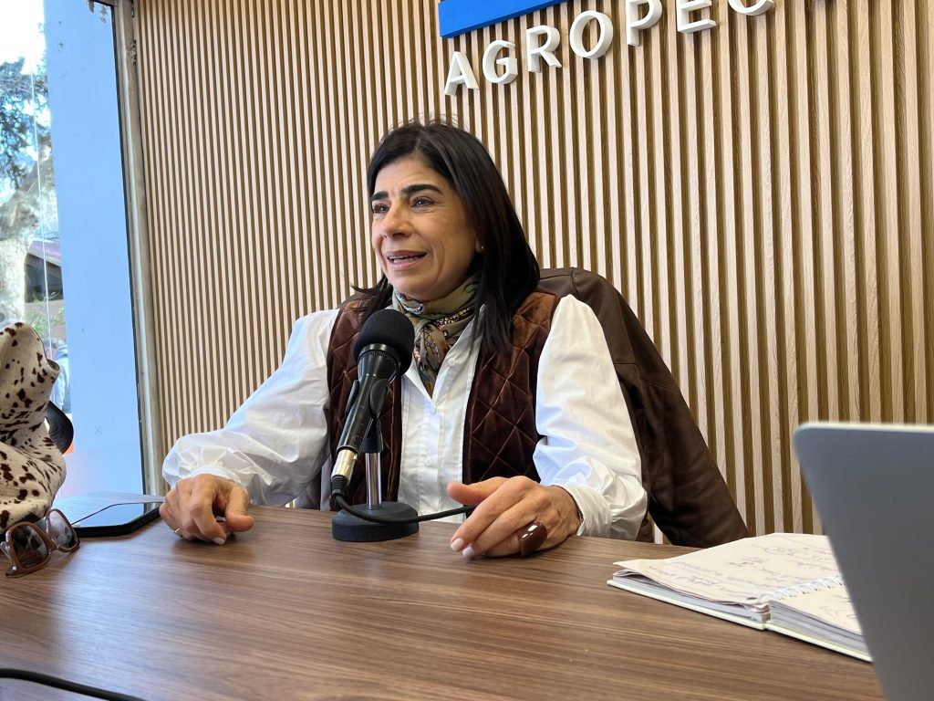 Sociedad de Productores Forestales advierte por caída de plantaciones y reclama estabilidad regulatoria