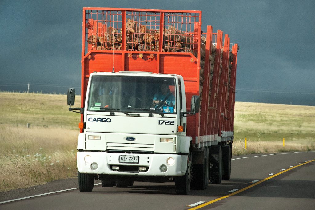 Productores forestales reclaman cambios en reglamentaciones que obstruyen inversiones