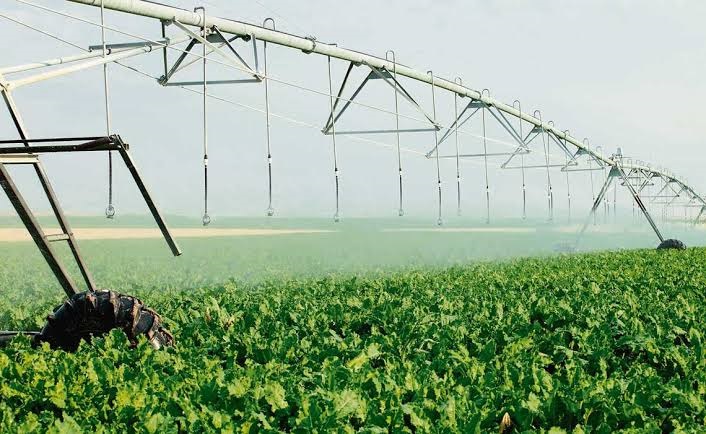 Fogón Agrícola: Dolores prepara una nueva edición de Protagonistas del Agro con una mirada que busca conectar al campo con otras áreas