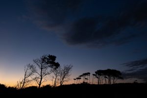 Pronóstico del tiempo de José María Rodríguez