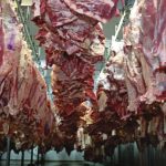 Primer envío de carne uruguaya a Ucrania abre una nueva corriente comercial