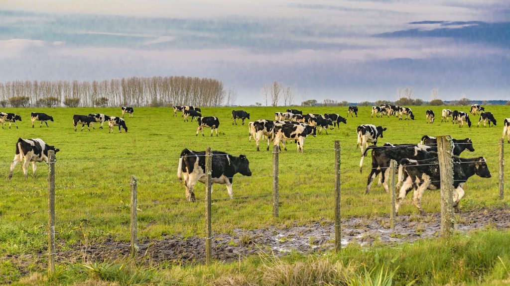 Gremiales agropecuarias reclaman fondos de emergencia, créditos y seguros ante los riesgos del fenómeno de El Niño