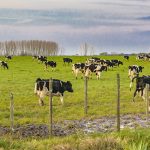 Gremiales agropecuarias reclaman fondos de emergencia, créditos y seguros ante los riesgos del fenómeno de El Niño